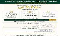 پیش‌بینی تولید ۲۲۵۰ تن عسل در کردستان
